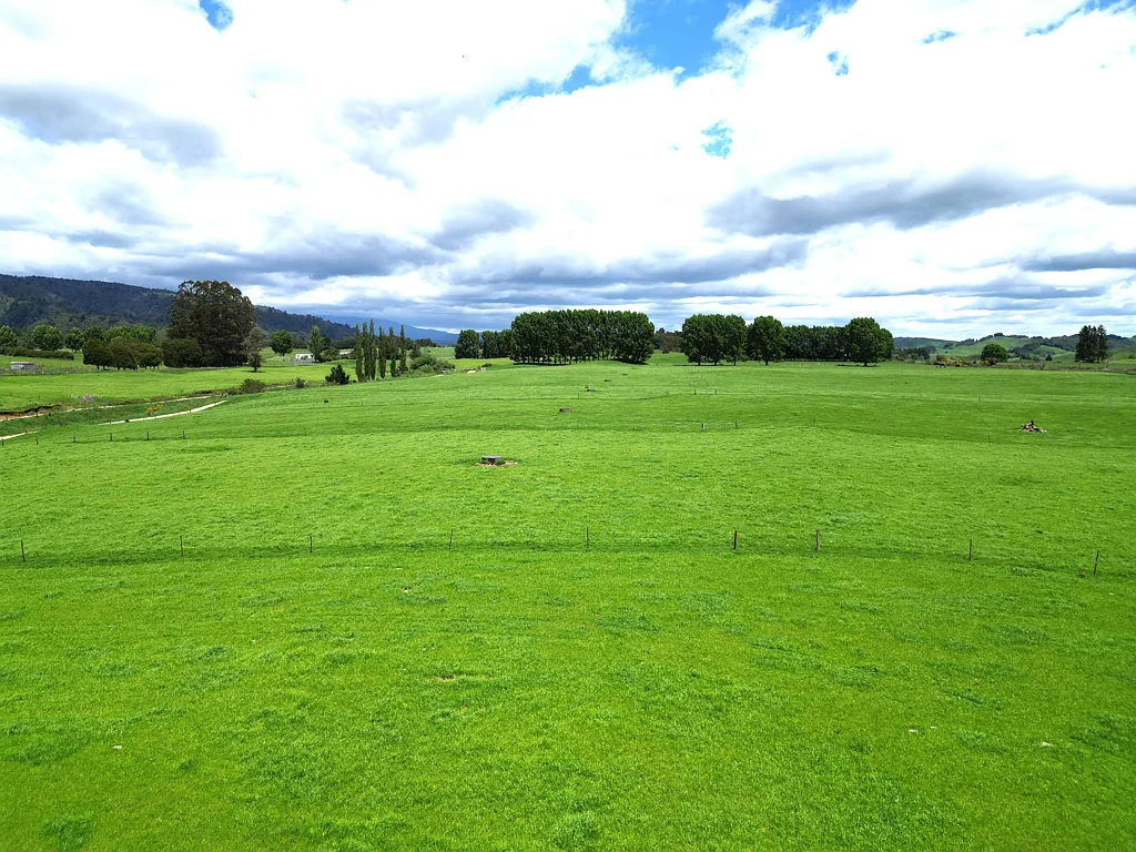 Owhango  Reliable dairy opportunity