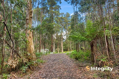 Labas ng Bahay - 111 Deviation Road, Kinglake Central, VIC 3757