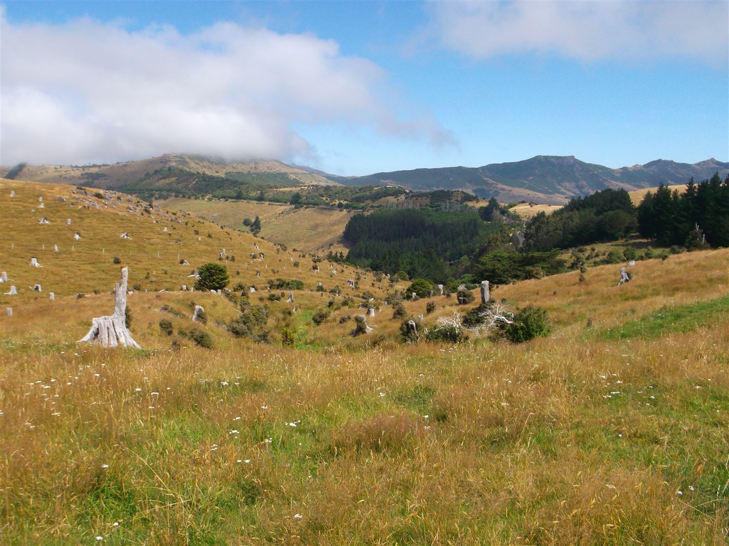 65 Le Bons Bay Road, Le Bons Bay, Christchurch, 0房, 0浴