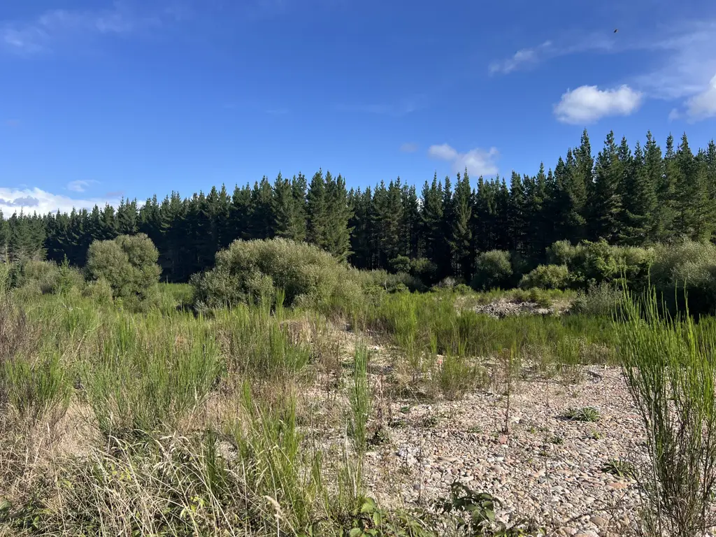 Ngahere Great Location With Options For Diversification