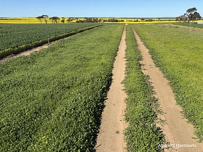 . 'Moyston', Cunderdin, WA 6407, 4房, 2浴, Lifestyle Property