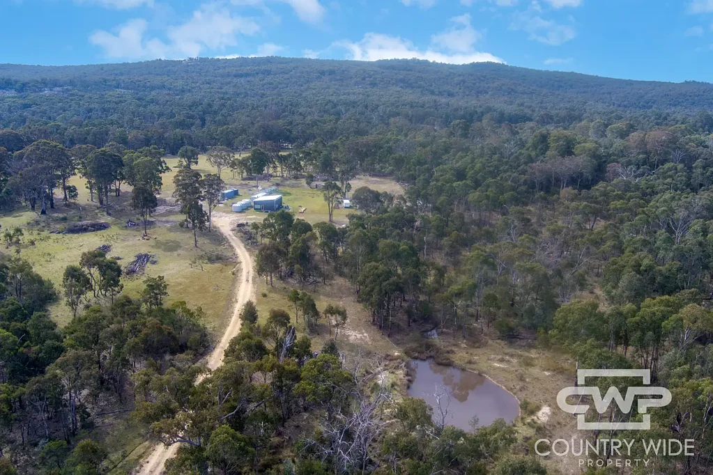 2474 Torrington Road, Torrington, NSW 2371