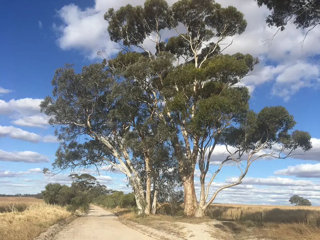 Stunning 3-Bedroom Rental House in Mt Hardey - A Peaceful Retreat Await