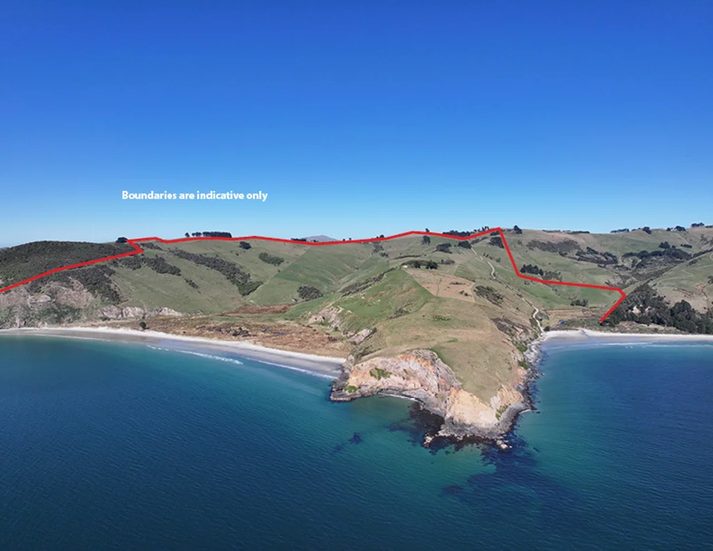 Purakaunui Inlet "Glen Ngaio" - A Coastal Gem of Otago Harbour