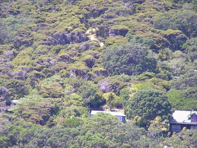 168 Shoal Bay Road, Great Barrier Island (Aotea Island), Auckland, 0 غرف, 0 حمامات