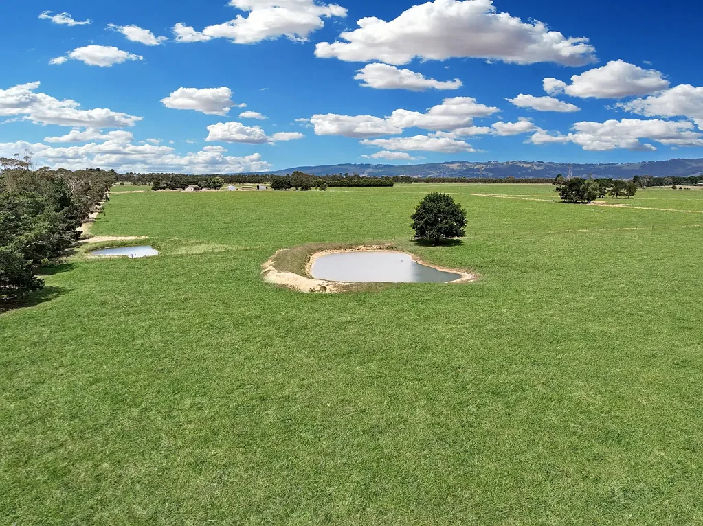Yarragon 151 acres with sweeping views- creek frontage