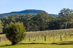 141 Woodhill Mountain Road, Broughton Vale