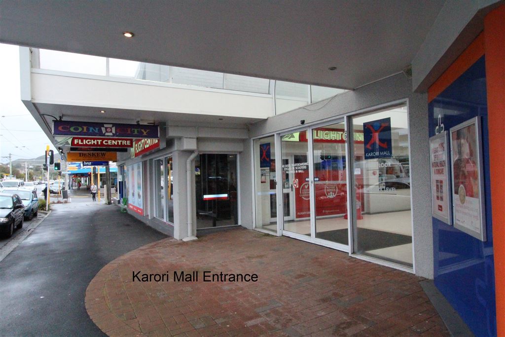 236 Karori Road, Karori, Wellington, 0房, 0浴