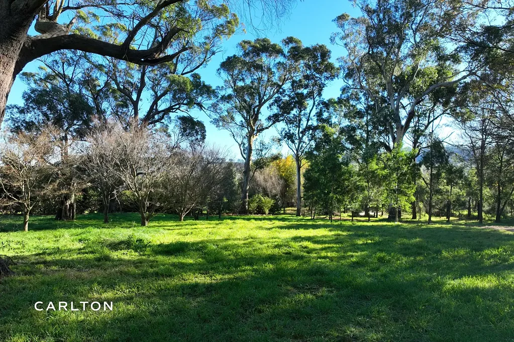AGISTMENT - Over 3 Acres in Bowral