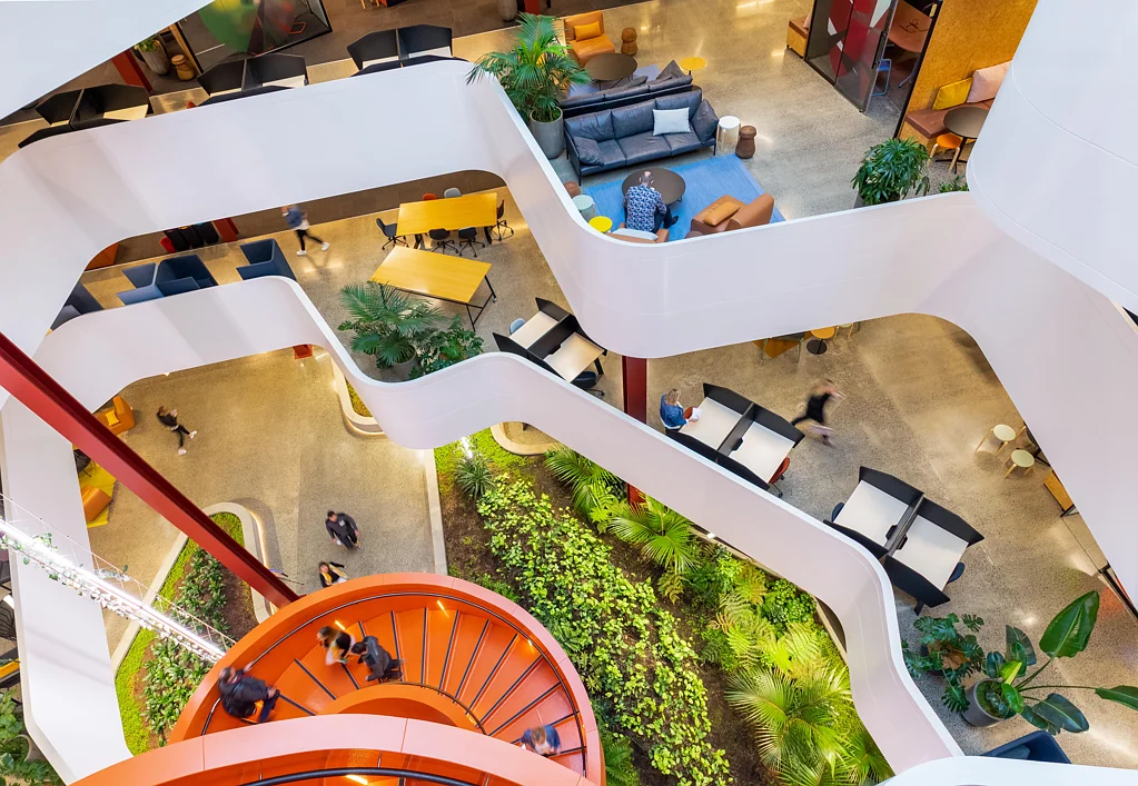 Takapuna  Be at the B:HIVE - flexible office and desk space