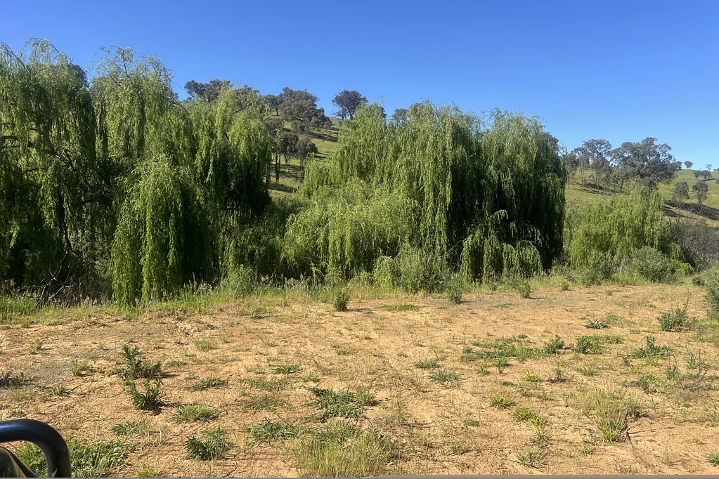 Bethanga Elevated Block With Planning Permit