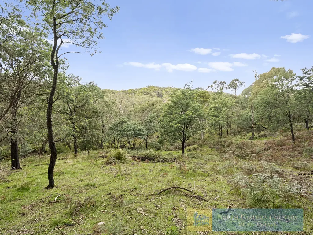 Creek Junction Rare 79 Acre Hideaway - Held for 50 Years - Explore the Beautiful Timbers - Shingle Hut Creek