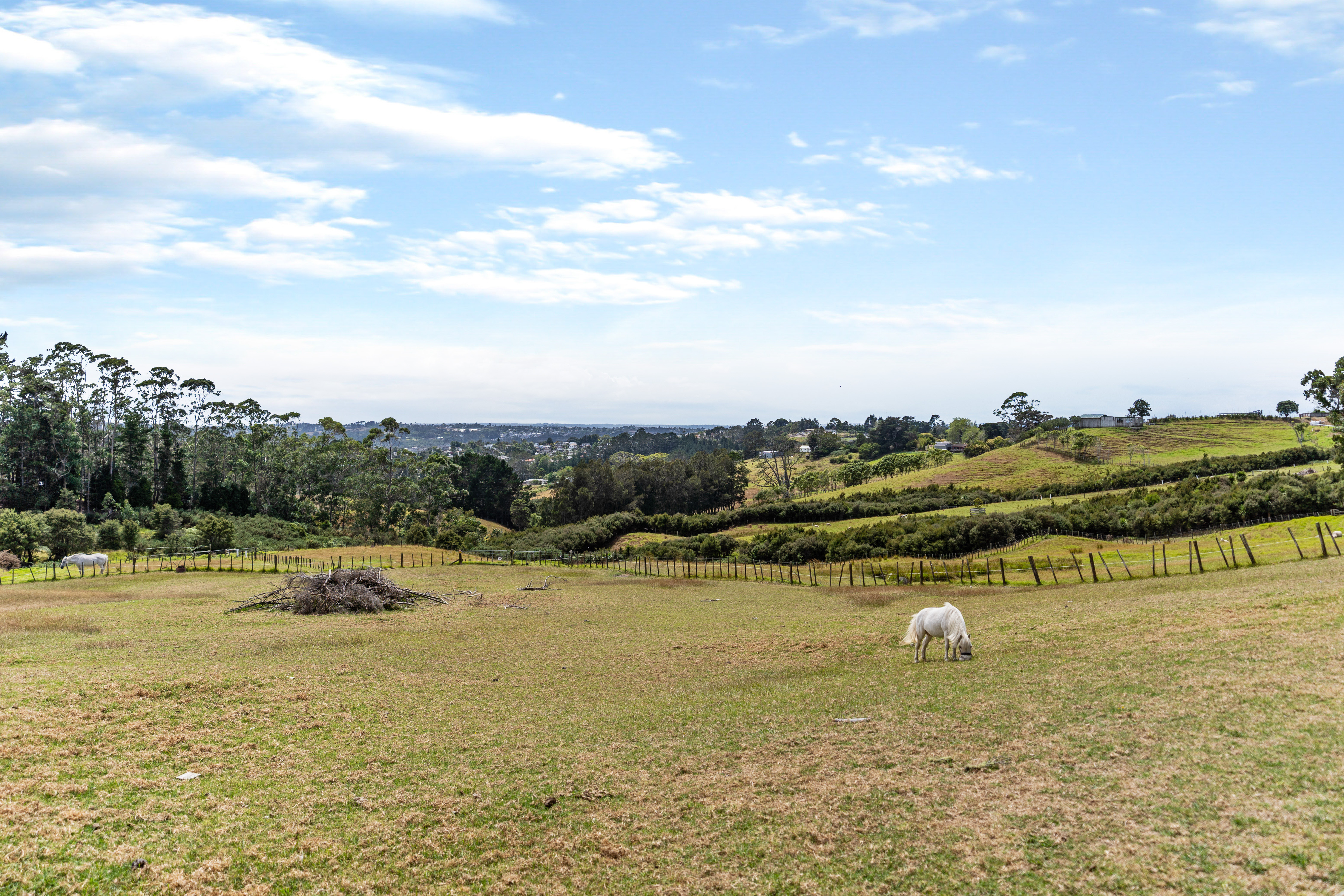 Rural  Waitakere Foothills Zone