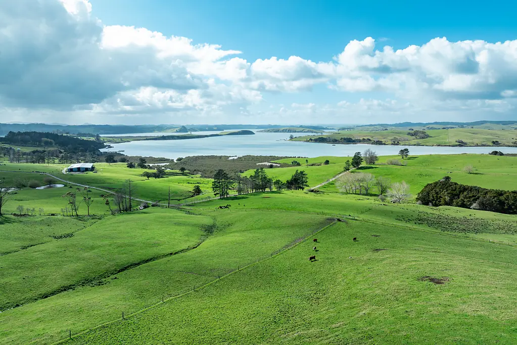Matakohe One of the Region’s Last Great Coastal Farm Estate