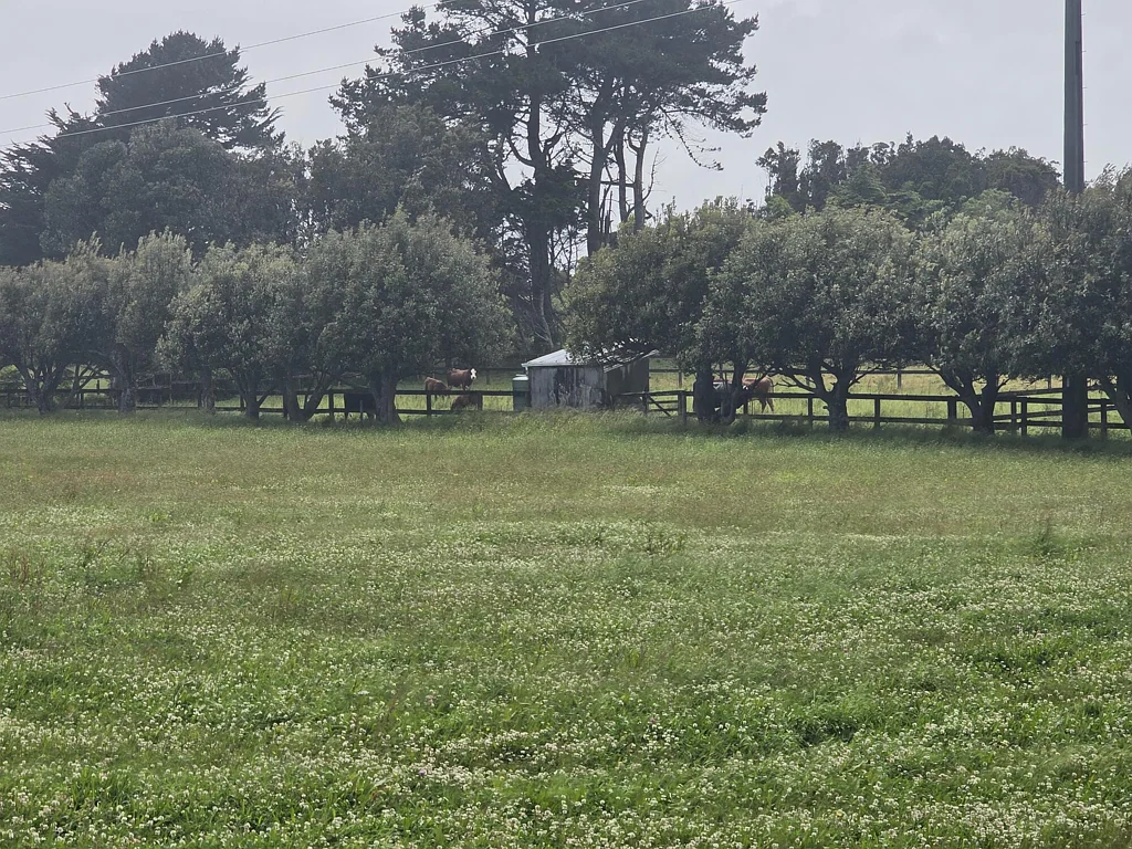 Hokitika  Lifestyle Today, Development Tomorrow