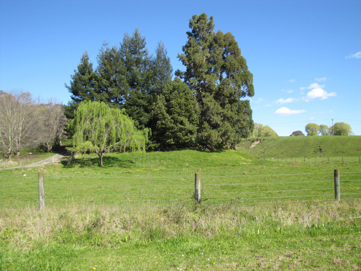 121 Valley Road, Mangapapa, Gisborne, 4房, 0浴