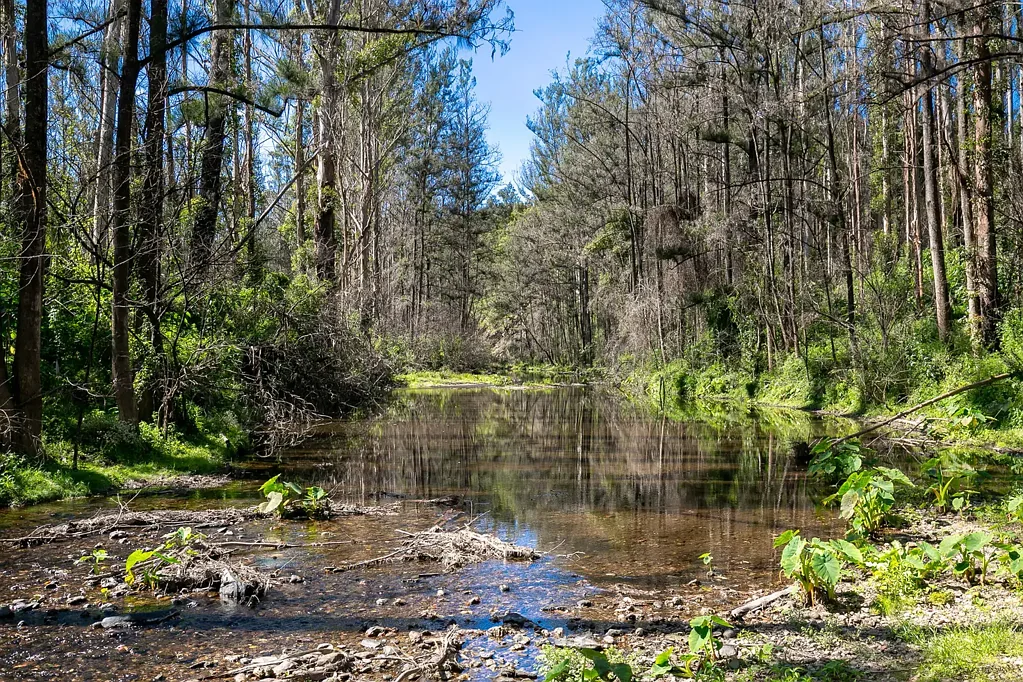 1584 Nulla Nulla Creek Road, Bellbrook, NSW 2440