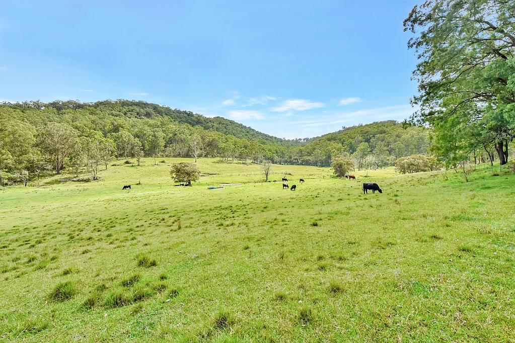 Laguna Prime Picturesque Wollombi Valley Acres!