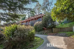 25 Kaola Street, Belgrave