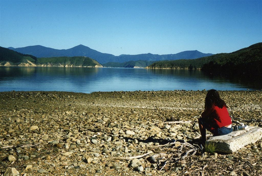 Otanerau Bay, Arapaoa Island, Marlborough, 0 રૂમ, 0 બાથરૂમ