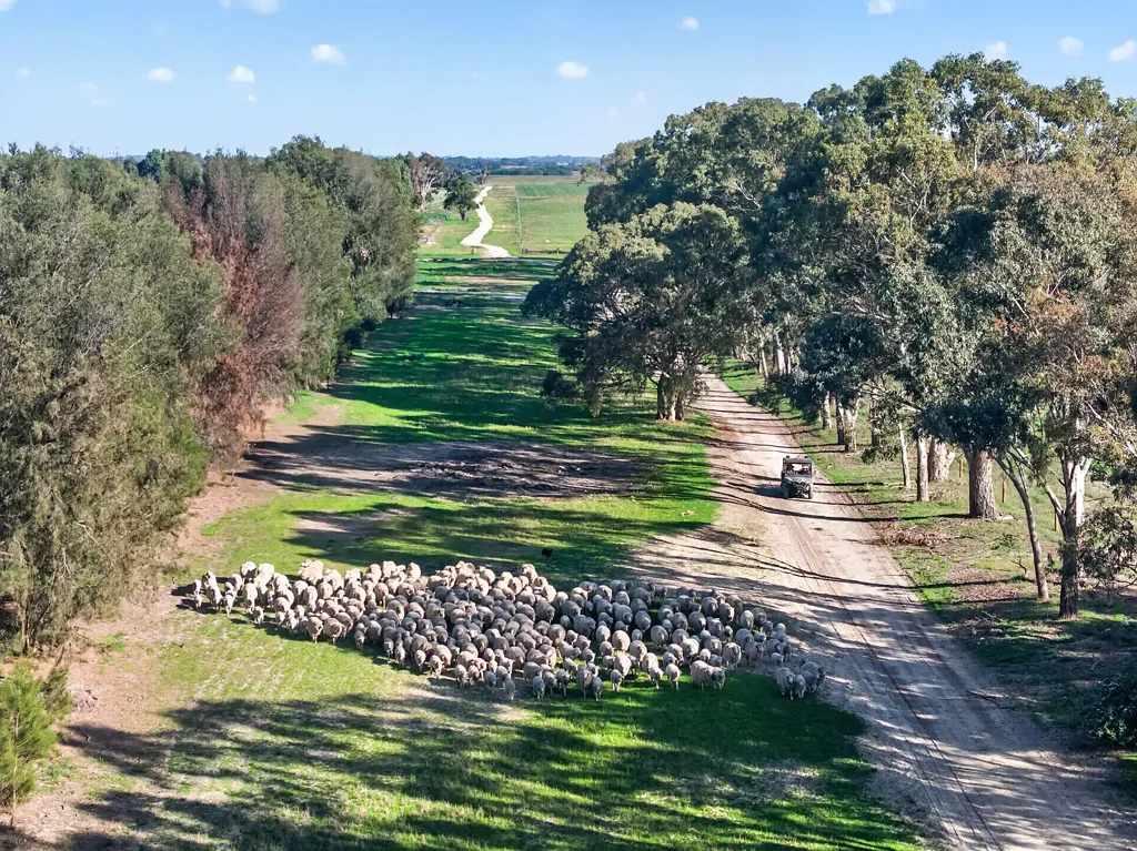 Keith Developed Mixed Farming Property with Irrigation