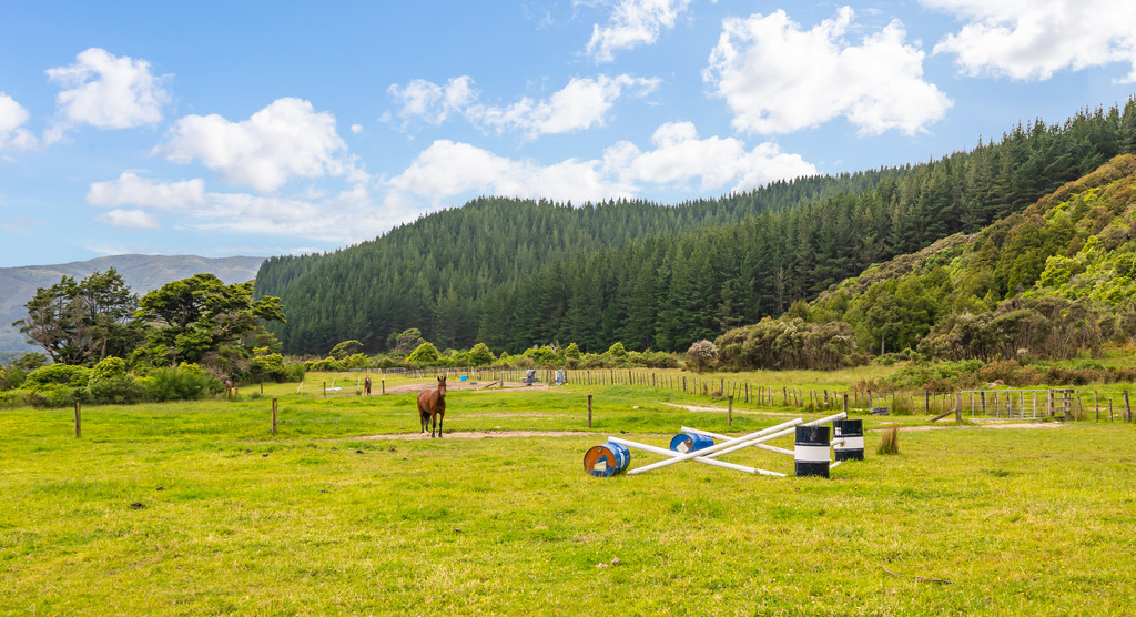 80e Gilbert Road, Kaitoke, Upper Hutt, 4 રૂમ, 0 બાથરૂમ