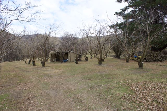 Hall Road, Bannockburn, Otago, 0 Schlafzimmer, 1 Badezimmer