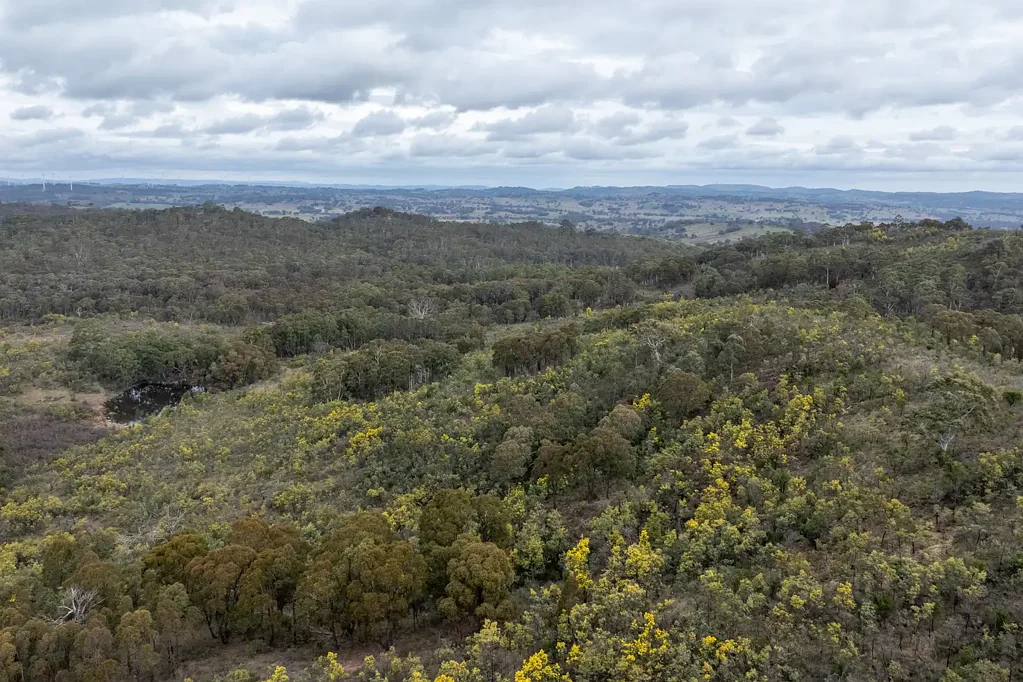 Mudgee Raw Land with a History
