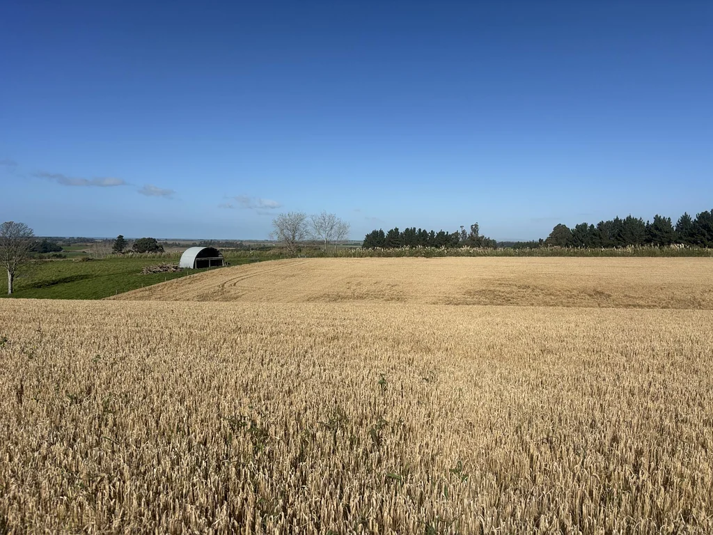 Fairview  Lot 3 Adair Road
