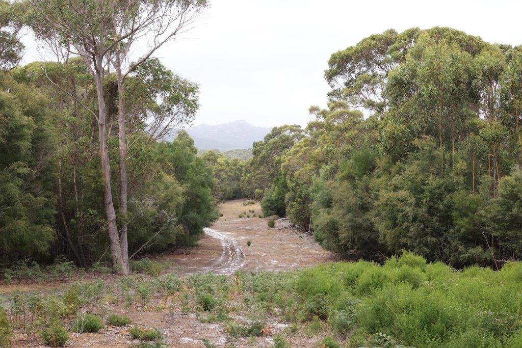 NORTH PATS RIVER 158 BLUNDSTONES RD, WHITEMARK TAS 7255, 0 ਕਮਰੇ, 0 ਬਾਥਰੂਮ, Lifestyle Property