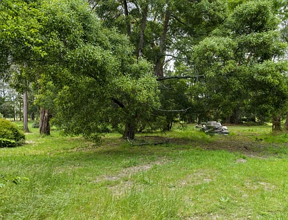 Lot 25 Birregurra-Forrest Road, Barwon Downs, Geelong, 0 રૂમ, 0 બાથરૂમ, Lifestyle Property