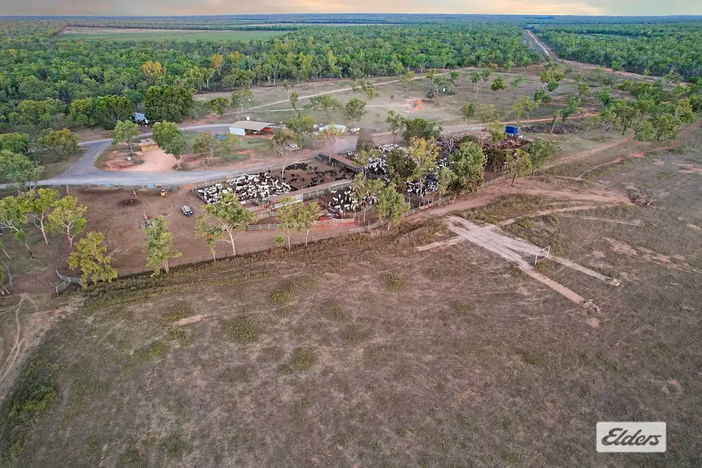 Katherine KING RIVER STATION - Location, Grazing, Hay and Pastures