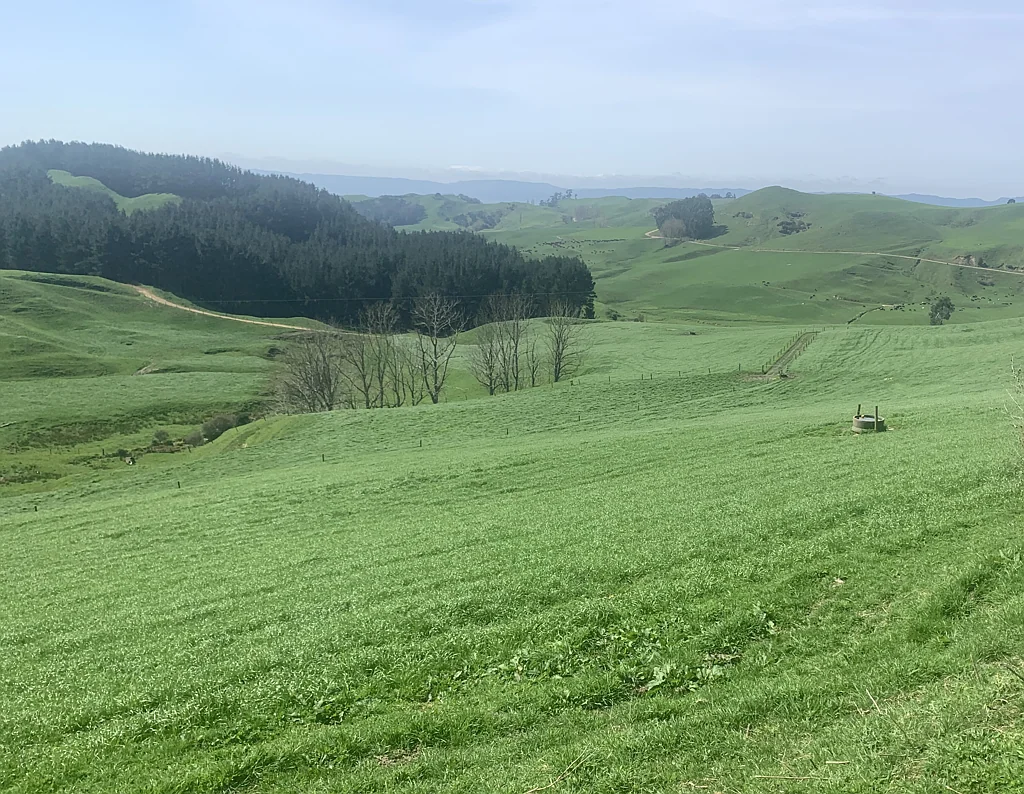 Tirau Productive, Profitable and Picturesque in Tirau