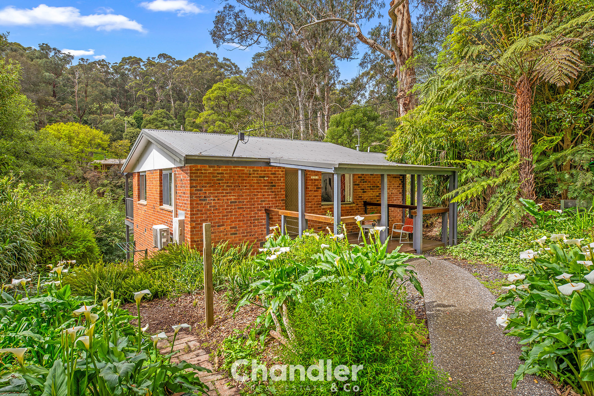 91 BELGRAVE-GEMBROOK RD, SELBY VIC 3159, 0 phòng ngủ, 0 phòng tắm, House