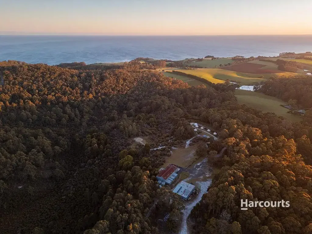 Boat Harbour  Sandridge Estate - "In a forest, on a hill, there's a shed"