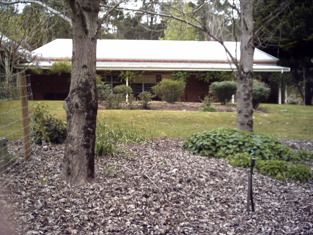 2526 BALINGUP-NANNUP RD, NANNUP WA 6275, 0房, 0浴, Lifestyle Property