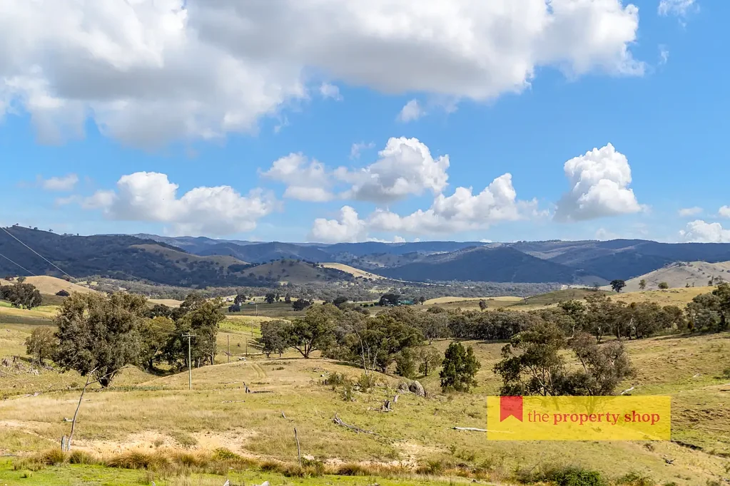 Mudgee 100 ACRES, DWELLING ENTITLEMENT & STUNNING VIEWS