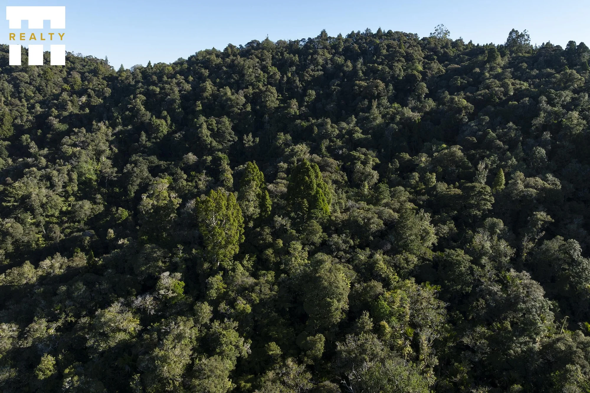 Kaeo Beautiful Bush Block, Peaceful, Private with Expansive Views