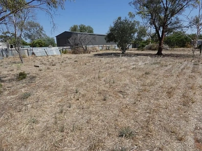 7 Edgar Street, Rainbow, VIC 3424, 0 Bedrooms, 0 Bathrooms, Section