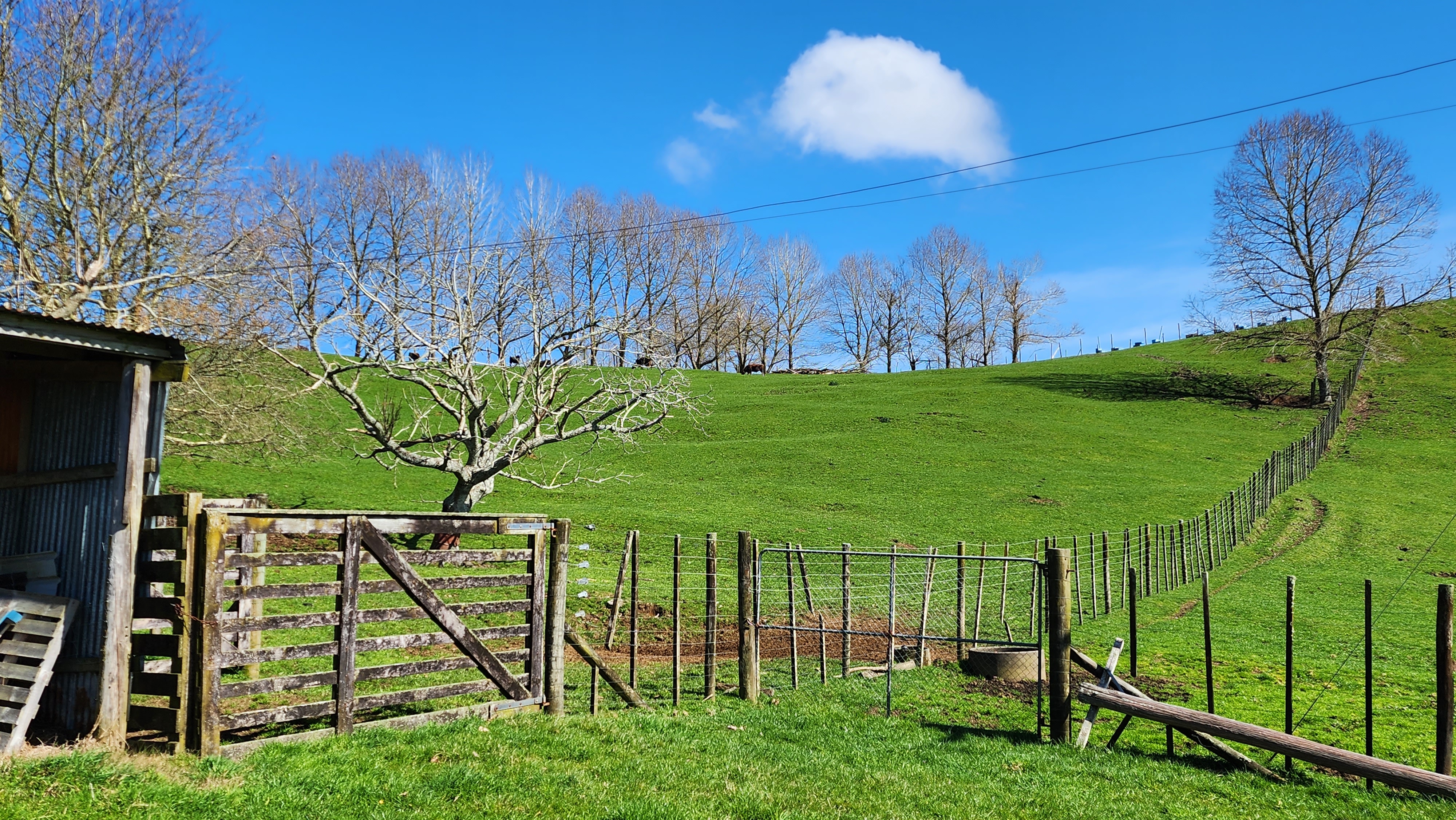 481 Honikiwi Road, Otorohanga, Otorohanga, 0 phòng ngủ, 1 phòng tắm, Bare Land