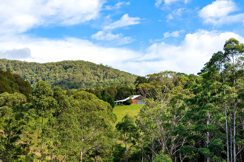 Morton A Countryside Sanctuary - 120 Acres to Dream, Create, and Escape