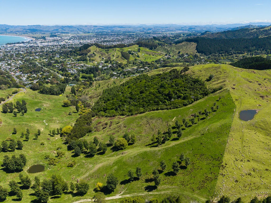 Outer Kaiti  Grazing, income, development - multi title options