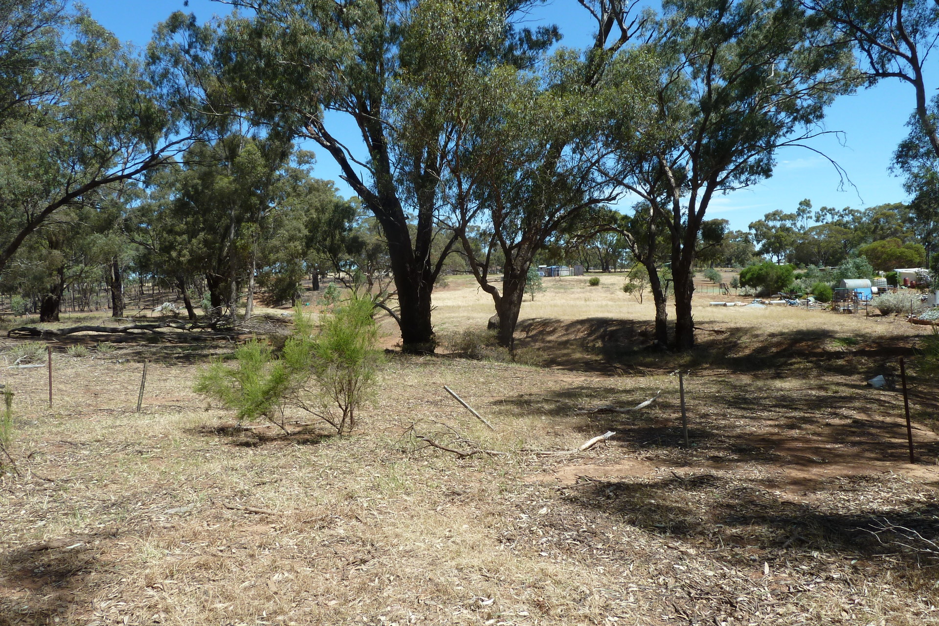 33 WEDDERBURN-BRENANAH RD, WEDDERBURN VIC 3518, 0 Schlafzimmer, 0 Badezimmer, Lifestyle Property