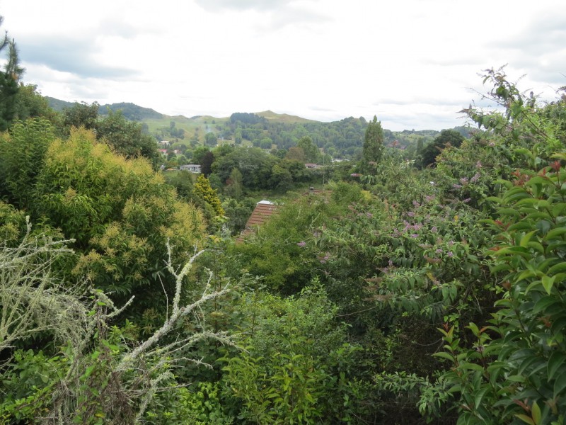 Rata Street, Te Kuiti