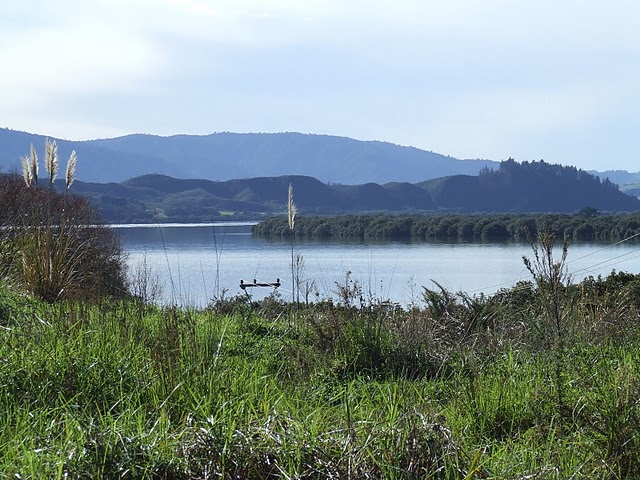 Beach Road, Kohukohu, Far North, 0部屋, 1バスルーム