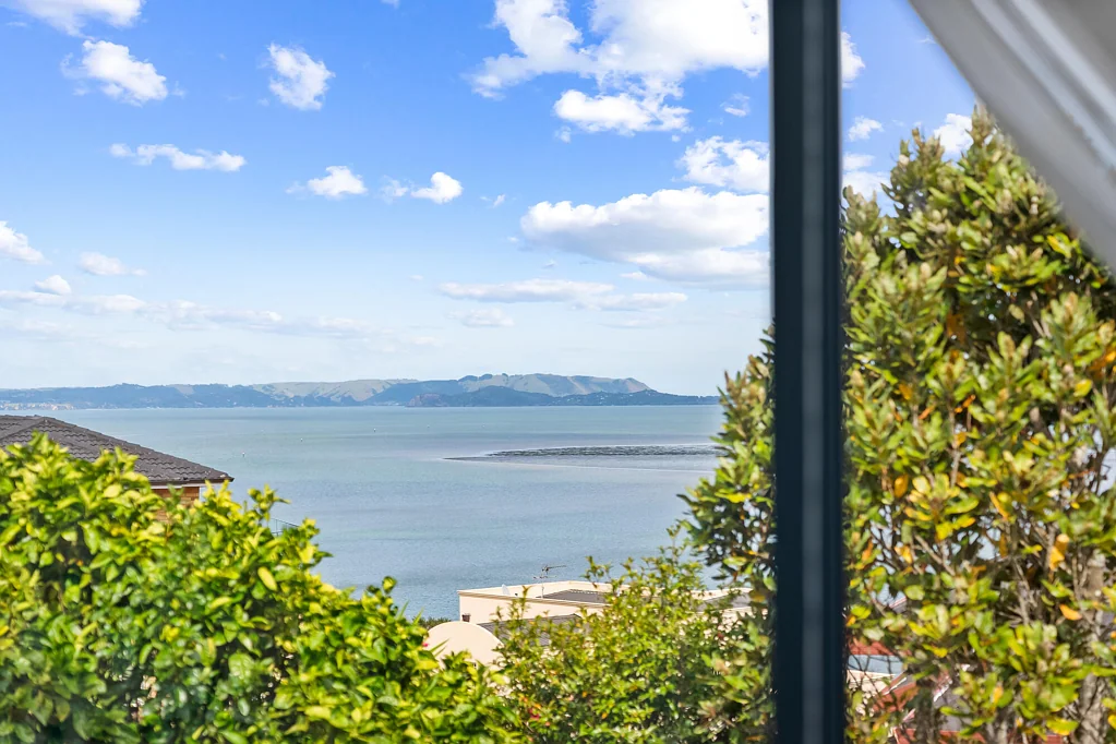 Lynfield 5 Bedroom Urgent Opportunity - Views & Development