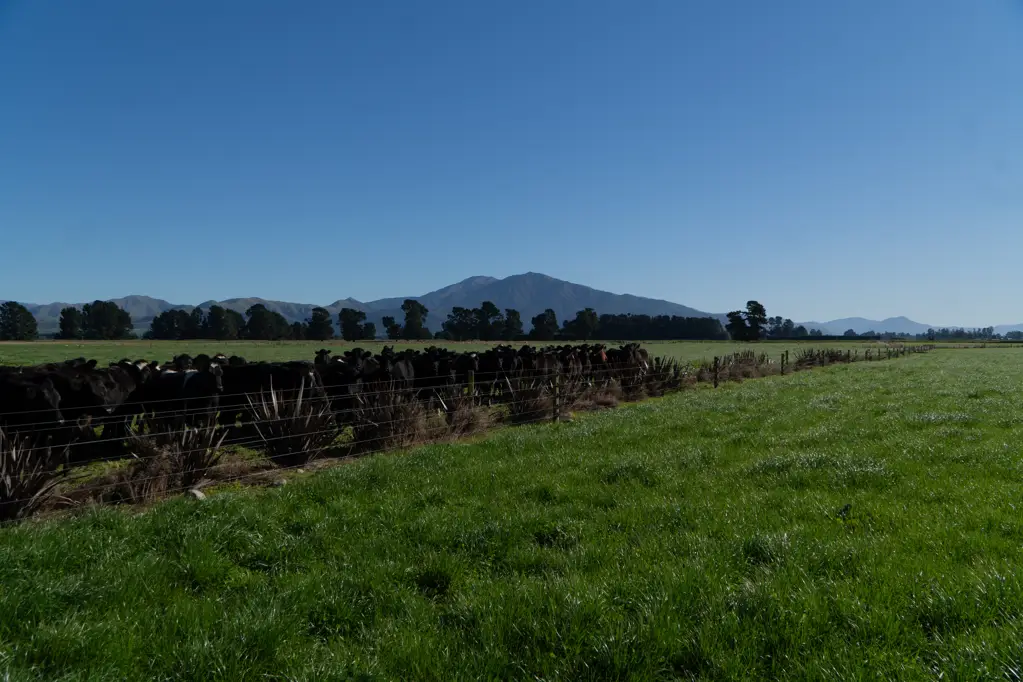 Ashburton Versatile small land holding