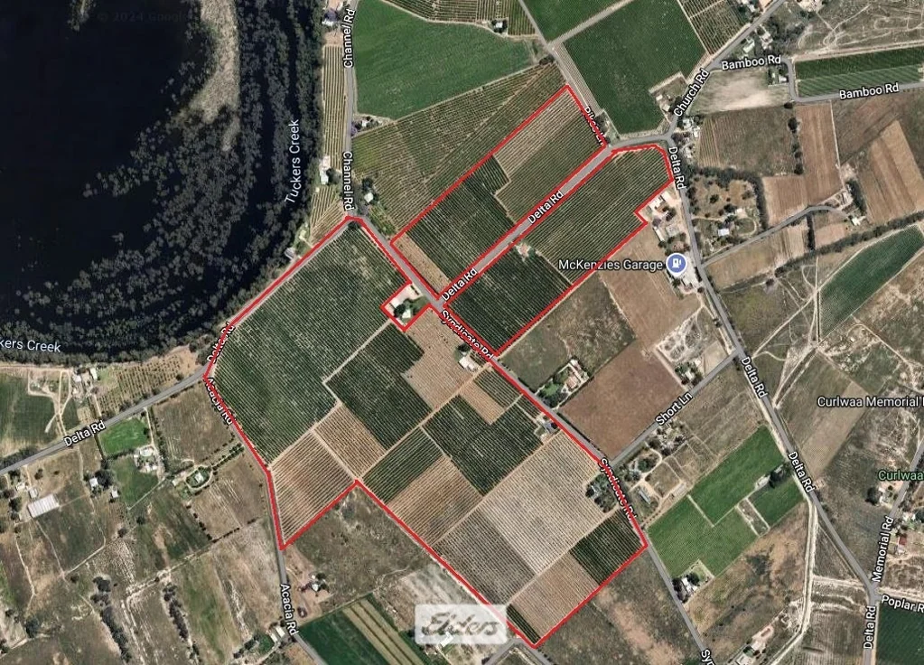Curlwaa  150 acres of Quality Citrus with high yields and export verities.