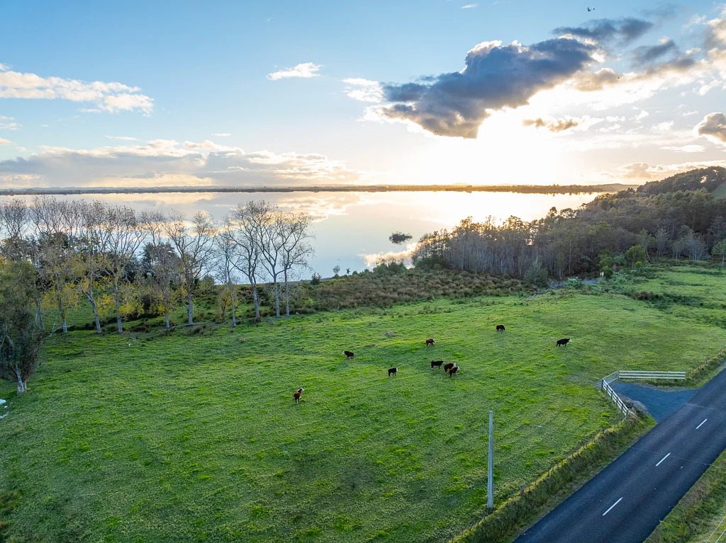 601 Waikare Road, Waerenga, Waikato
