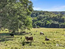 500 TYALGUM Road, Tyalgum